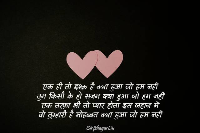 best 2 line love shayari in hindi