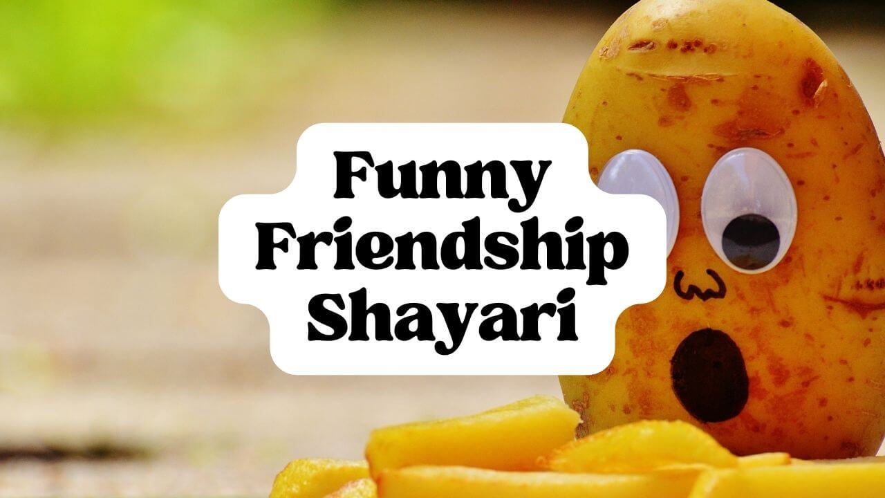 Funny Friendship Shayari